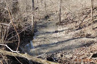 Creek on Nature Preserve - off N River Rd just south of I65 Intersection, Battle Ground